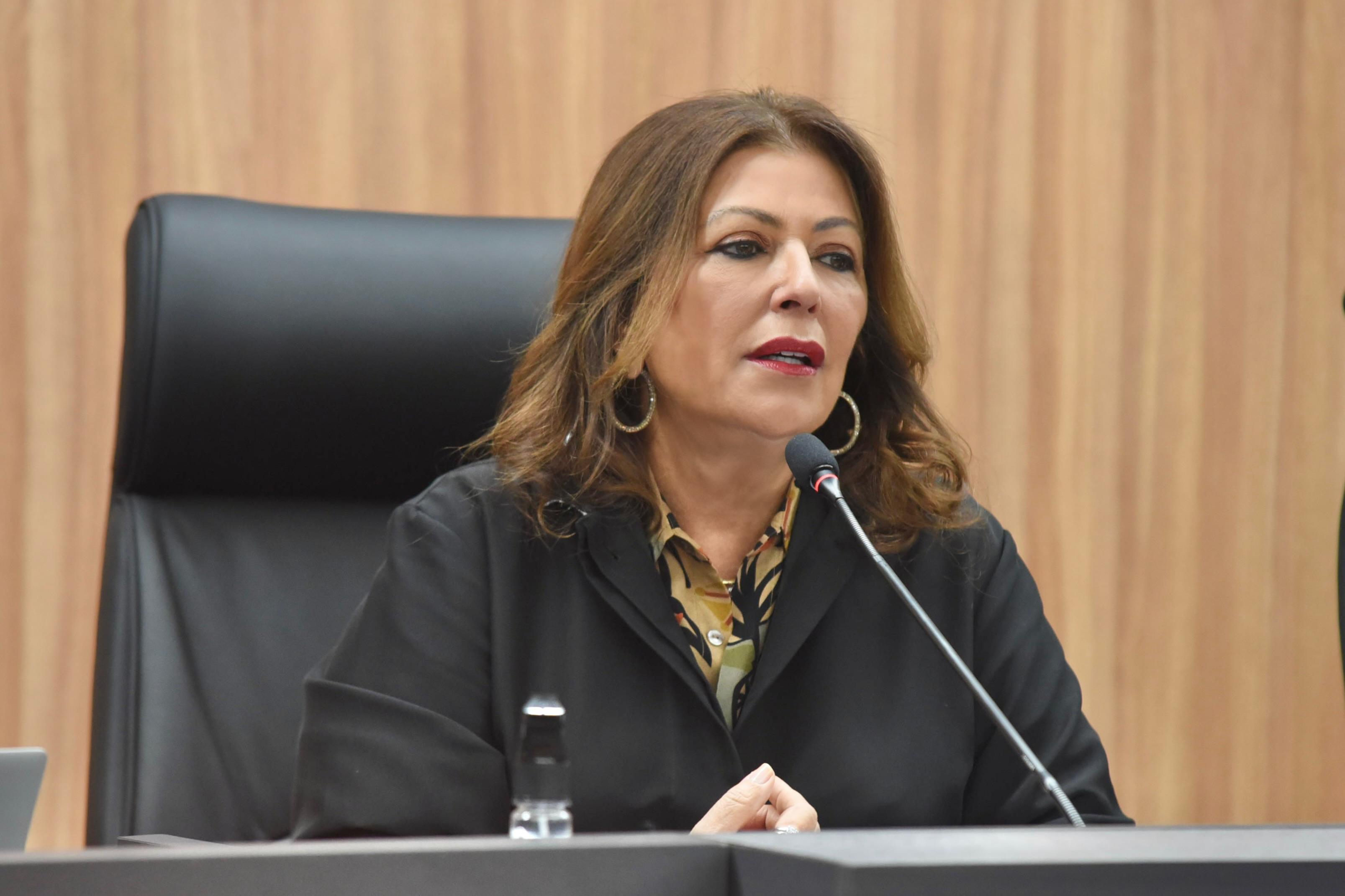 Pleno 31072025 2.jpg